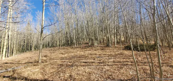 Lot's 6414 & 6415 Bronfman RD, Fort Garland, CO 81133