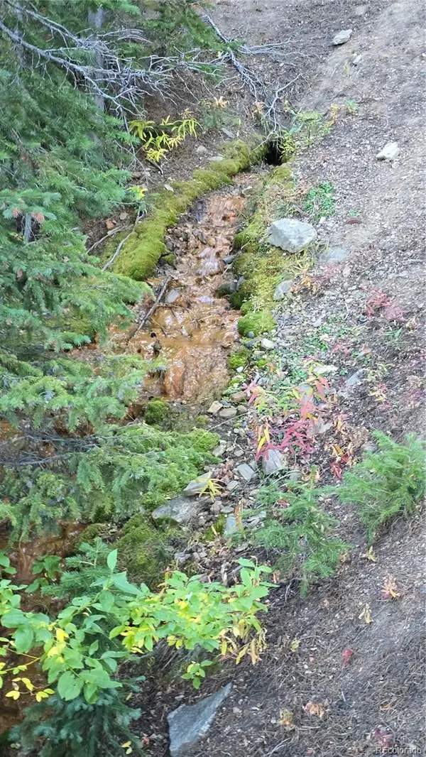 Democrat Mountain Claims, Georgetown, CO 80444