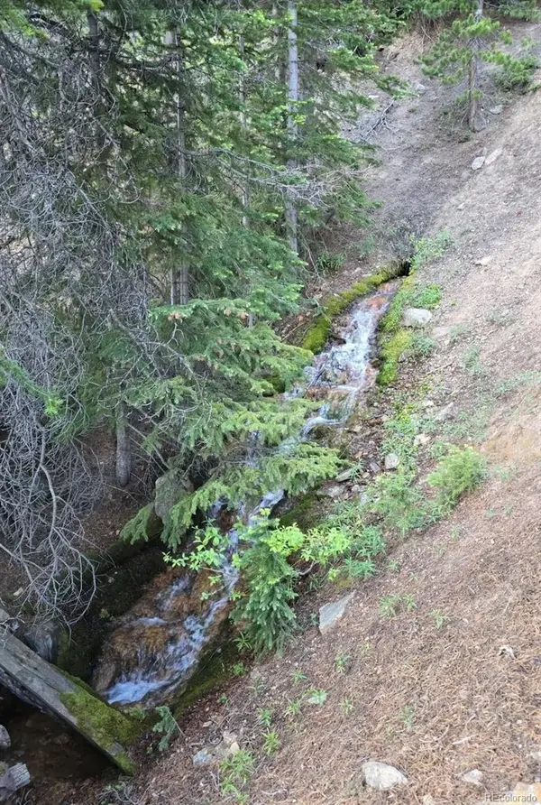 Democrat Mountain Claims, Georgetown, CO 80444