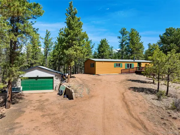 1299 Pikes Peak DR, Florissant, CO 80816