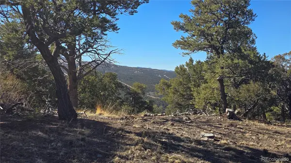 Lot 4510 Iannelli RD, Fort Garland, CO 81133