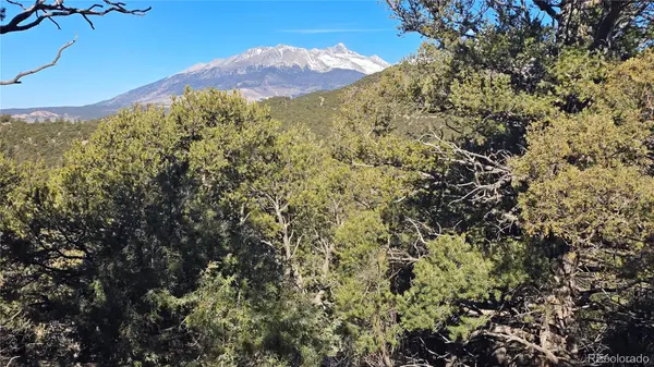 Lot 4510 Iannelli RD, Fort Garland, CO 81133