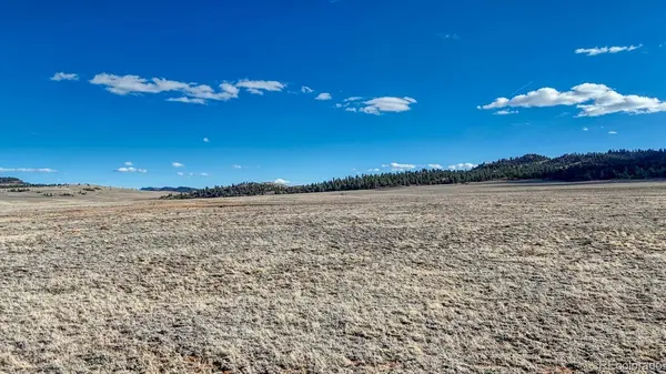 L5209 To-Ma-Kin CIR, Hartsel, CO 80449