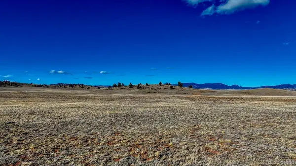 L5209 To-Ma-Kin CIR, Hartsel, CO 80449