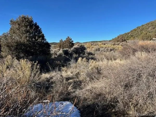 Lot 6016 Forbes RD, San Luis, CO 81152