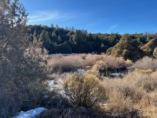 Lot 6016 Forbes RD, San Luis, CO 81152