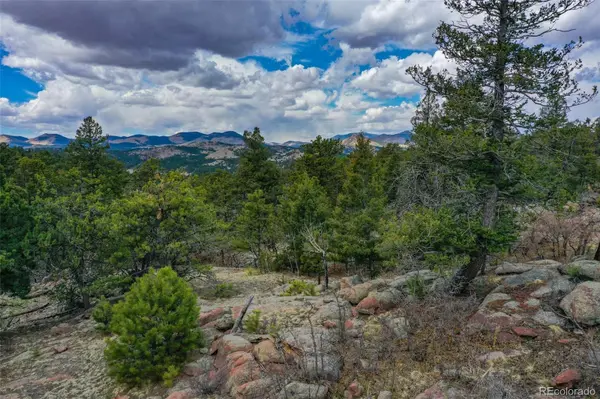487 Pike View LN, Florissant, CO 80816