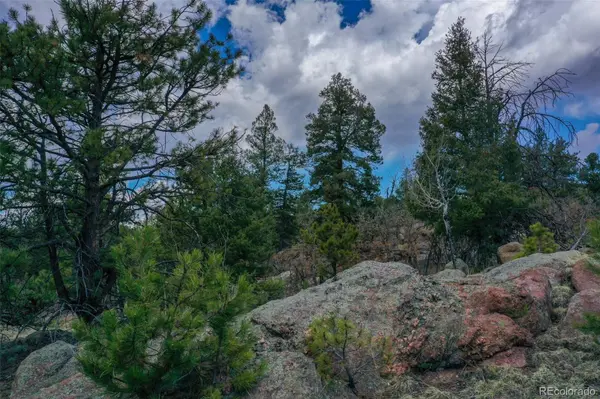 487 Pike View LN, Florissant, CO 80816