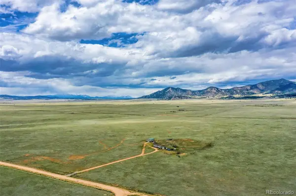463 Snowshoe LN, Lake George, CO 80827