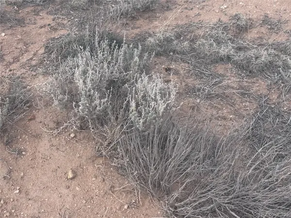 Delaware TRL, San Luis, CO 81152