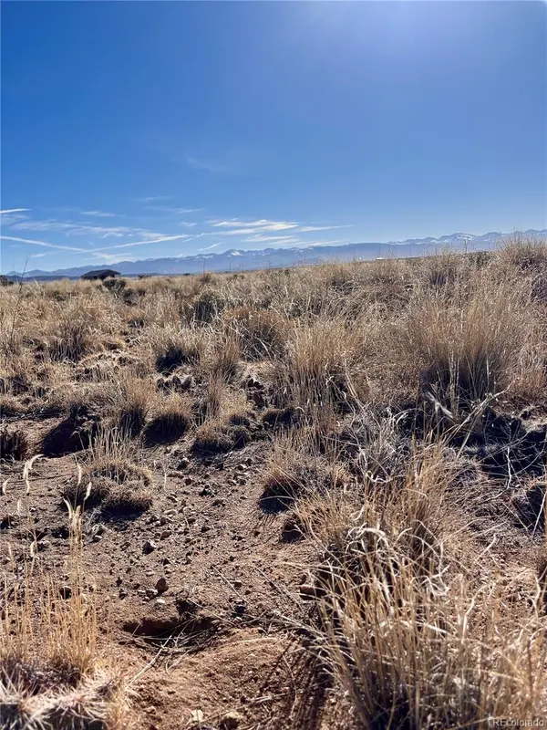 Lot 4 13th ST, Blanca, CO 81123