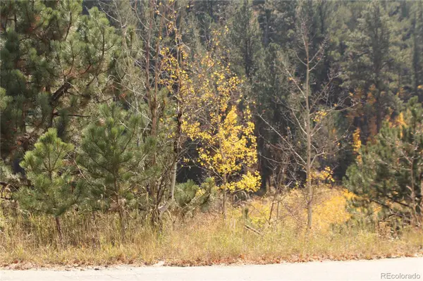 2020 Shelton DR, Bailey, CO 80421