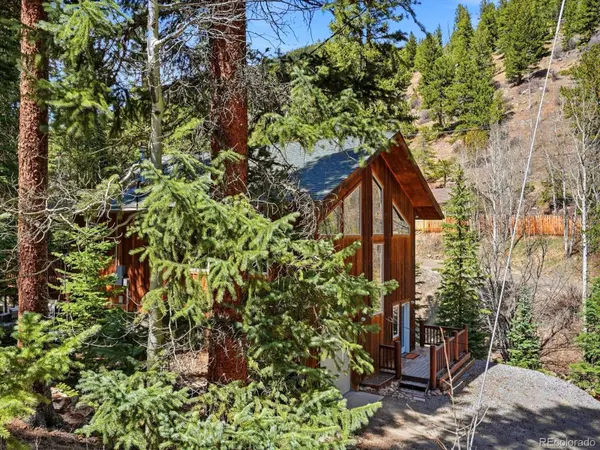 2547 Mill Creek RD, Dumont, CO 80452