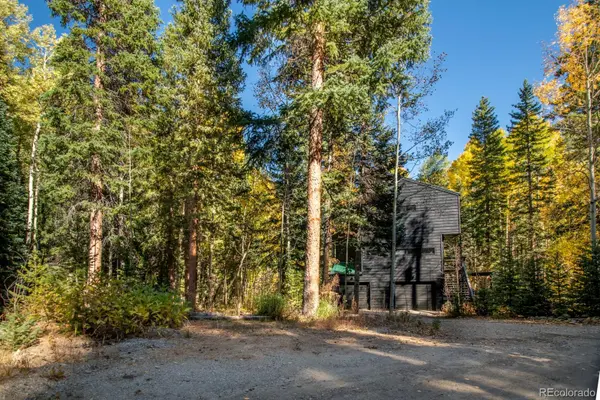 48 Moss LN, Dumont, CO 80436