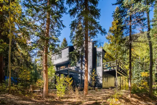 48 Moss LN, Dumont, CO 80436