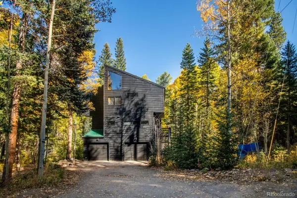 48 Moss LN, Dumont, CO 80436