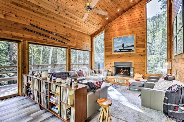 48 Moss LN, Dumont, CO 80436