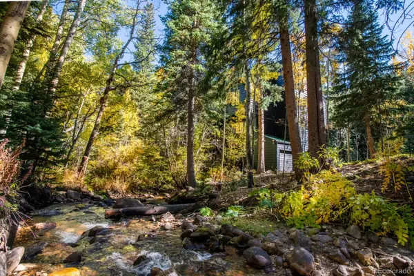 48 Moss LN, Dumont, CO 80436