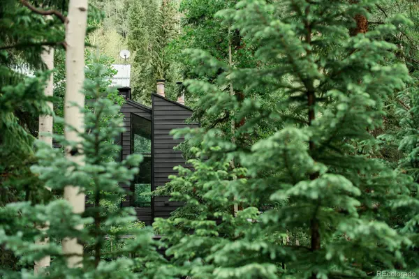 48 Moss LN, Dumont, CO 80436