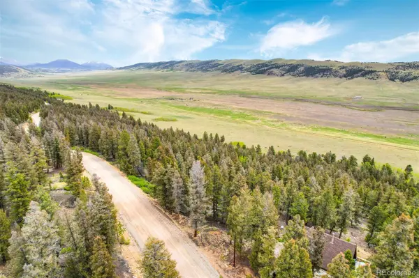 0 Trout Creek LN, Fairplay, CO 80440