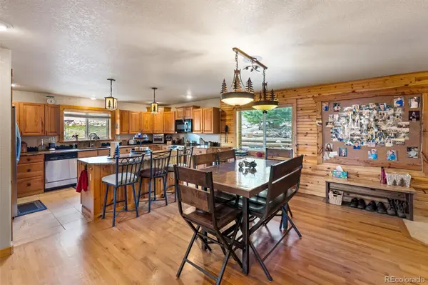 1163 Michigan Hill RD, Jefferson, CO 80456