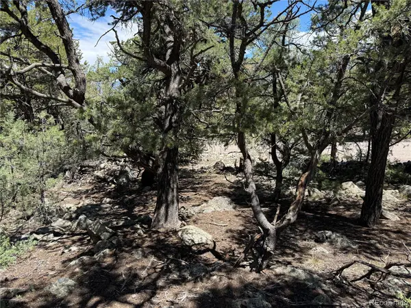 2150 Indian Well WAY, Crestone, CO 81131