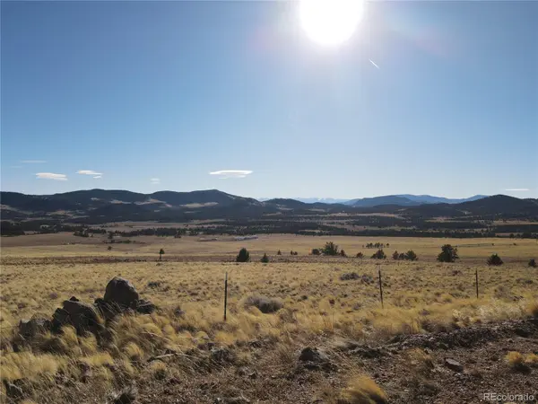 341 Lakeview TRL, Guffey, CO 80820
