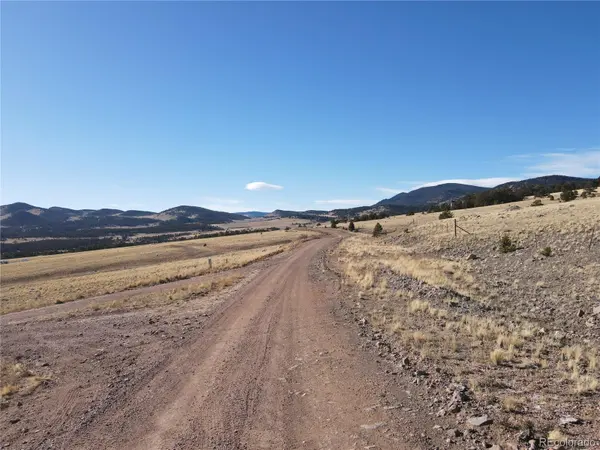 341 Lakeview TRL, Guffey, CO 80820