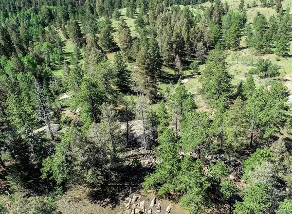 235 Hay Creek RD, Florissant, CO 80816