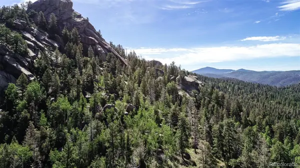 235 Hay Creek RD, Florissant, CO 80816