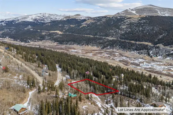 131 Aspen ST, Alma, CO 80420