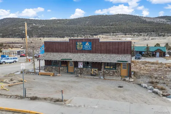131 Aspen ST, Alma, CO 80420