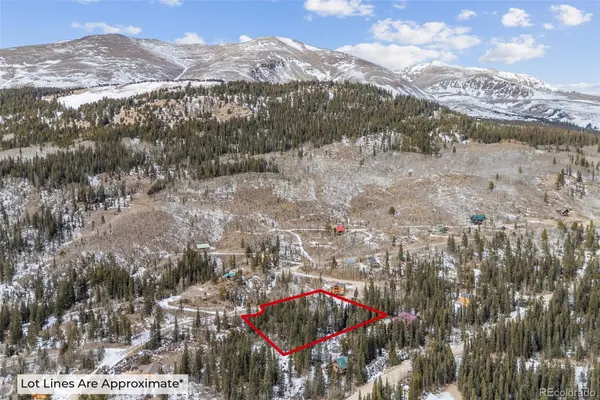 131 Aspen ST, Alma, CO 80420