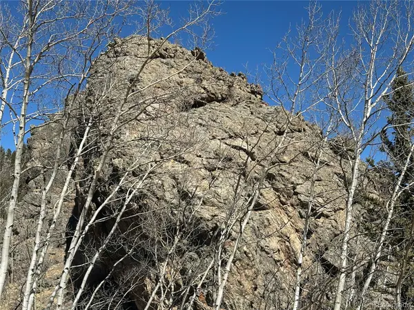 505 N Quarter Horse RD, Jefferson, CO 80456