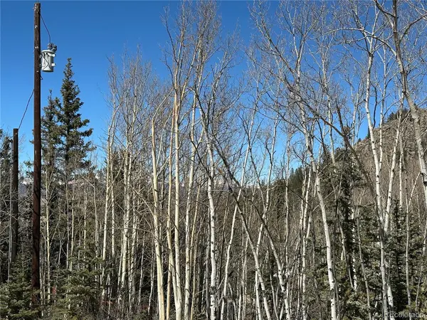 505 N Quarter Horse RD, Jefferson, CO 80456