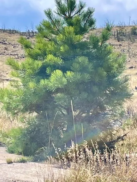 1971 County Road 27a, Cotopaxi, CO 81223
