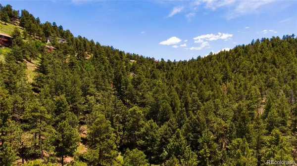 27292 Ridge TRL, Conifer, CO 80433