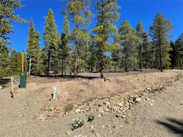 100 Virginia AVE, Leadville, CO 80461