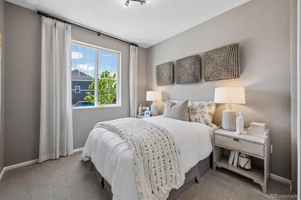 6401 Ankina DR, Windsor, CO 80528