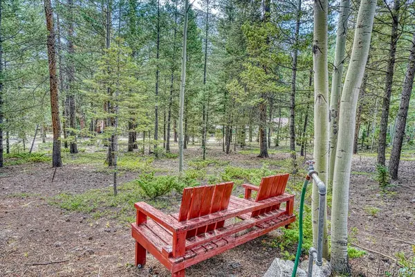 22297 County Road 292d, Nathrop, CO 81236
