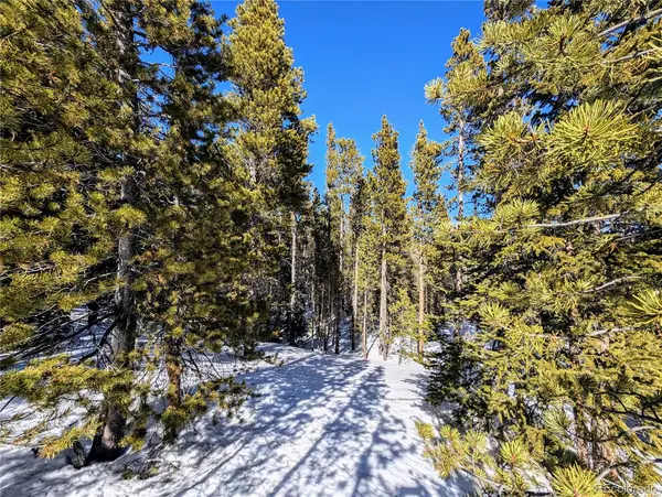 Lot 234 Alice RD, Idaho Springs, CO 80453