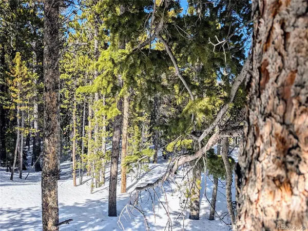 Lot 234 Alice RD, Idaho Springs, CO 80453