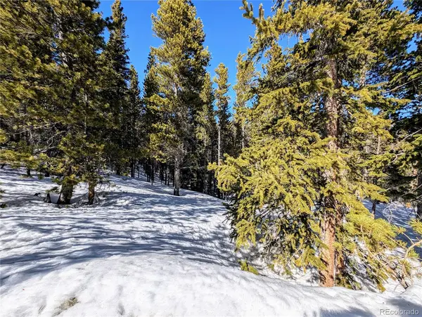 Lot 234 Alice RD, Idaho Springs, CO 80453