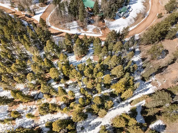 358 Pawutsy RD, Florissant, CO 80816