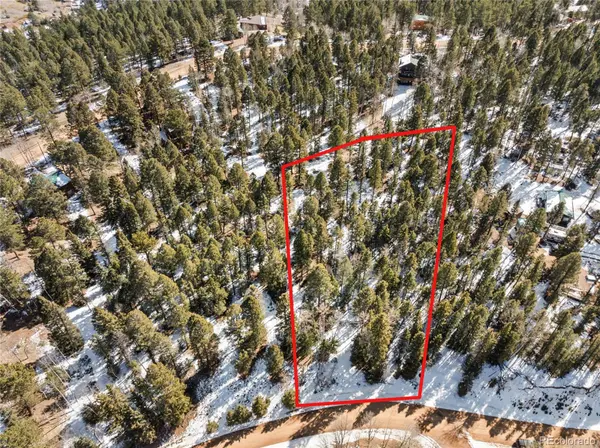 358 Pawutsy RD, Florissant, CO 80816