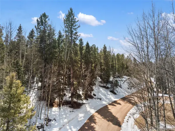 358 Pawutsy RD, Florissant, CO 80816