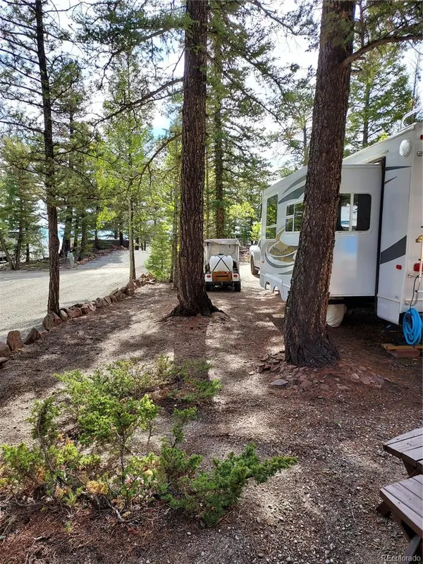 62 Spike WAY, Hartsel, CO 80449