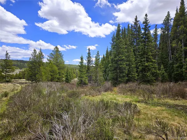 Looney LN,  Fairplay,  CO 80440