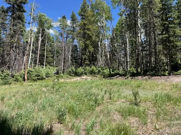 Lot 2449 Petito DR, Fort Garland, CO 81133
