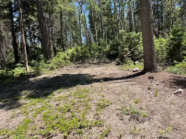 Lot 2449 Petito DR, Fort Garland, CO 81133